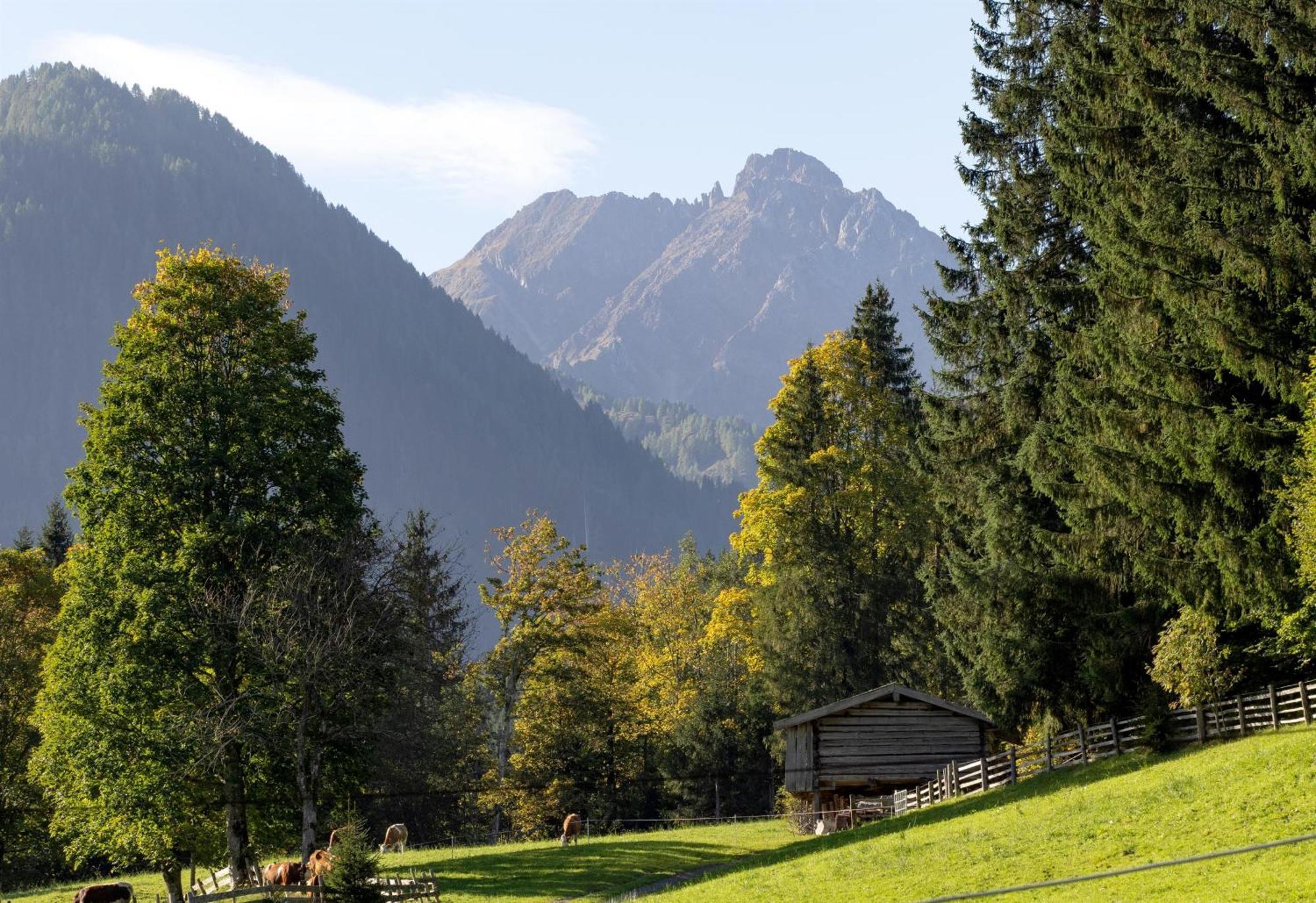 Appartement Hintermitterast Kirchberg in Tirol Zewnętrze zdjęcie